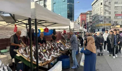 Zonguldak’ta Mezgit Balığı Fiyatları Yükseliyor